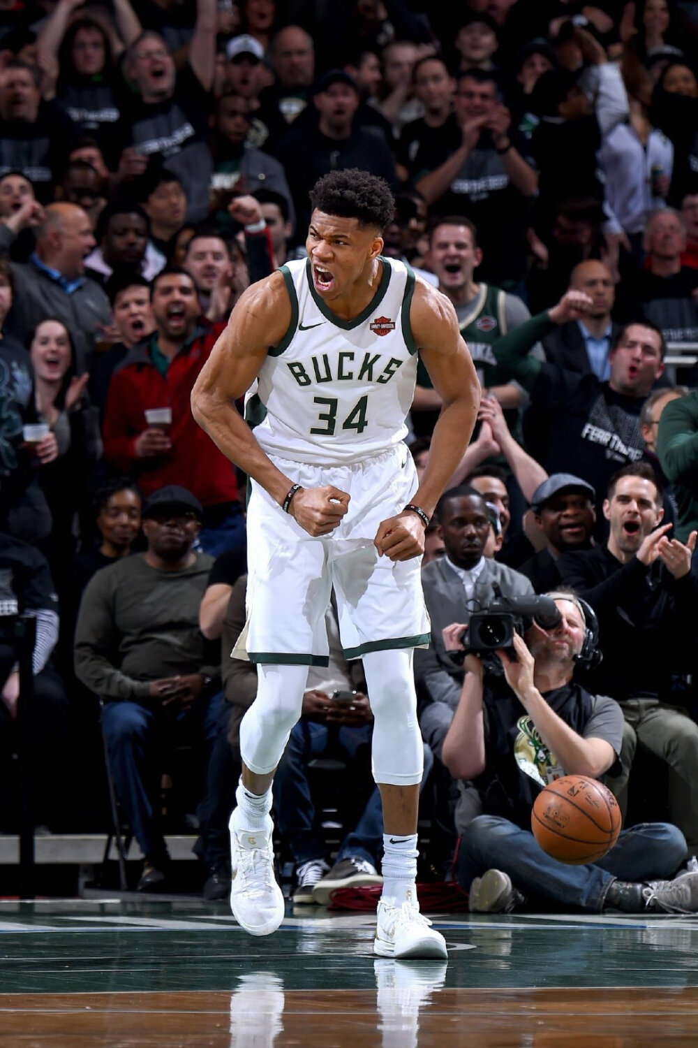 COLOPL×MIXI新作《Festy Battle》将于8月29日上线！